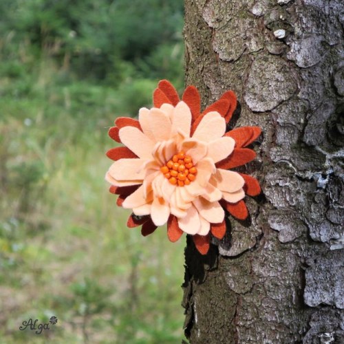 Brož Květina — foto 2