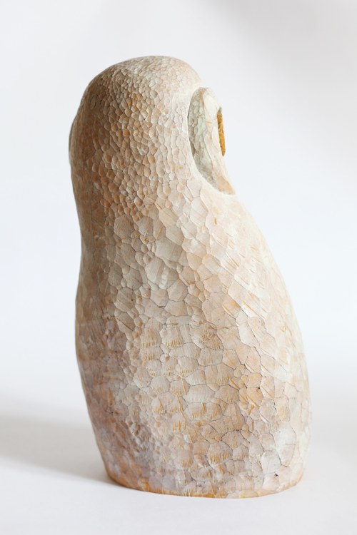Sova Hedvika — foto 2