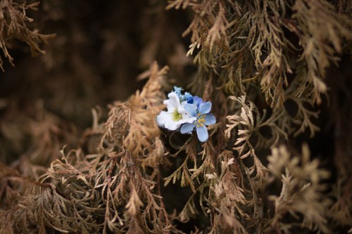 Prstýnek "kapka rosy" — foto 3