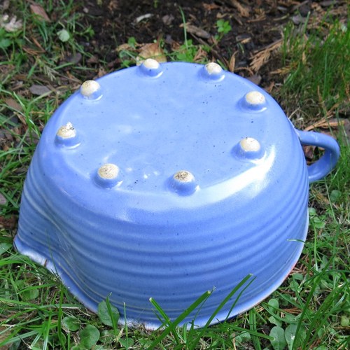Mísa bleďačka — foto 5