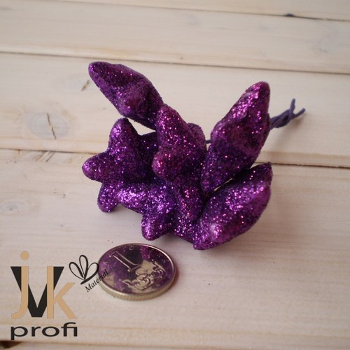 Hvězda malá - fialová — foto 3