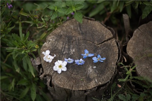 Vlásenky "kapka rosy" — foto 2
