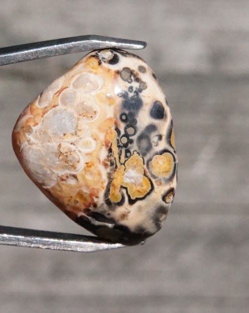 Jaspis leopardí D963 — foto 3