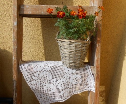 Krása růží...dečka — foto 3