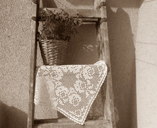 Krása růží...dečka — foto 4