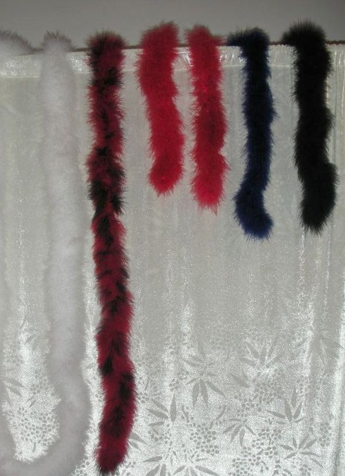 Červená labutěnka — foto 3