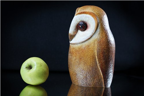 Tyto Alba no.2 — foto 2