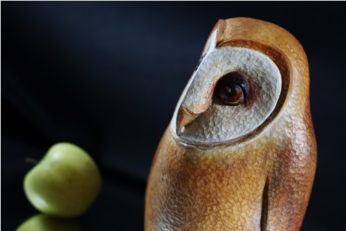Tyto Alba no.2 — foto 5