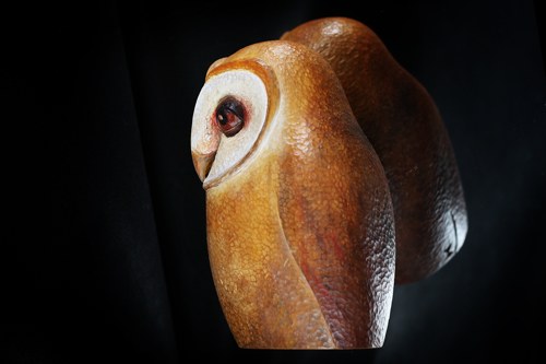 Tyto Alba no.2 — foto 6