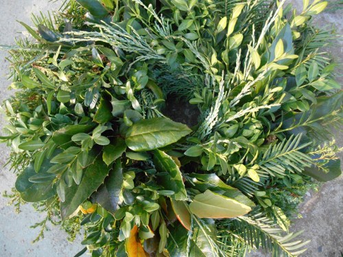Jehličí, mahónie, buxus ... — foto 2