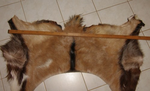 Přírodní kůže - kozinka — foto 3