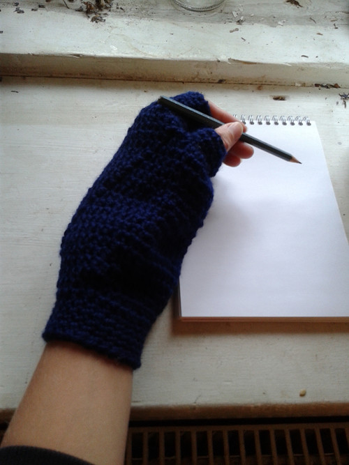 Bezprsťáčky žabičkové -sleva- — foto 4