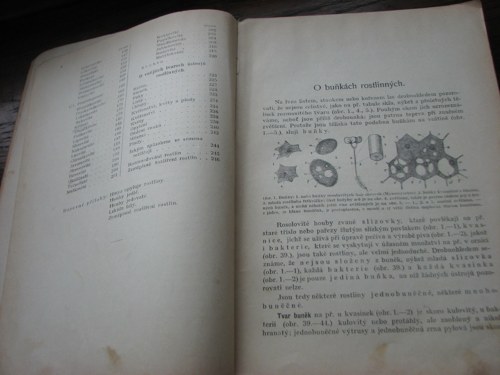 Rostlinopis, J. Rosický, 1918 — foto 6
