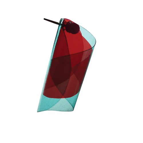 Color Cocoon — foto 4