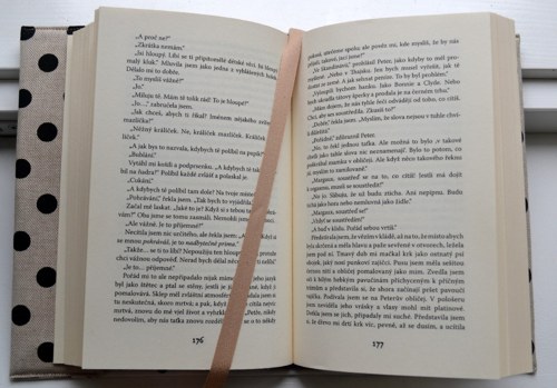 Obal Režný s puntíky — foto 5