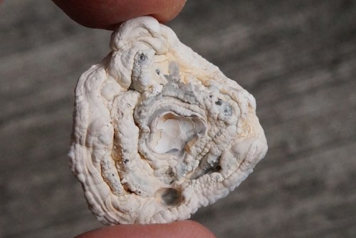 Hadí achát - chalcedonová růže D981 — foto 3