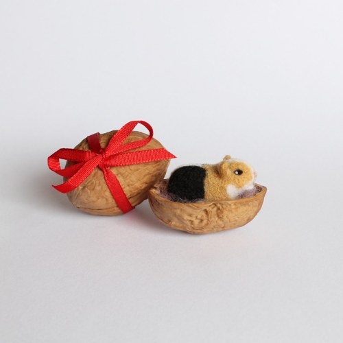 Mini morčátko ve skořápce 1 — foto 2