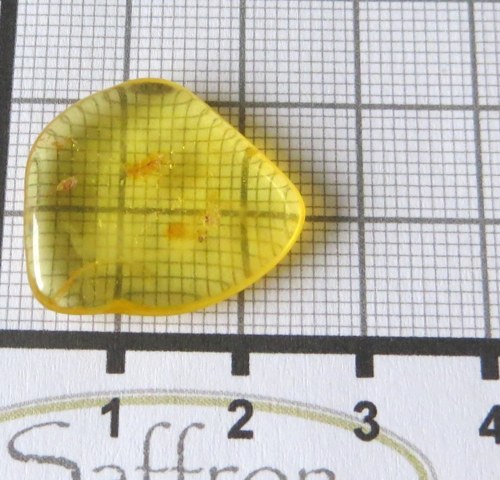 Přírodní Jantar - Litva č.02 — foto 2