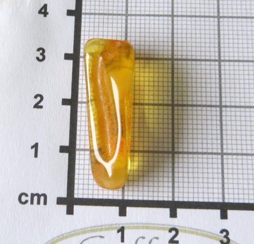 Přírodní Jantar - Litva č.05 — foto 2