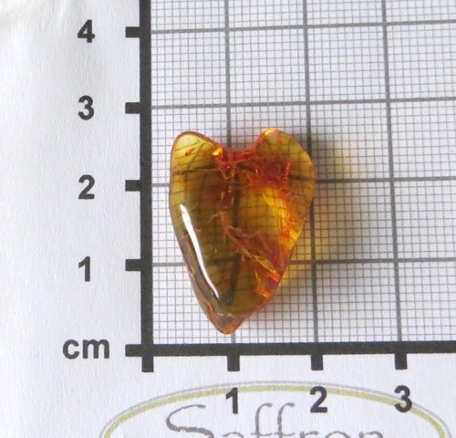 Přírodní Jantar - Litva č.08 — foto 2