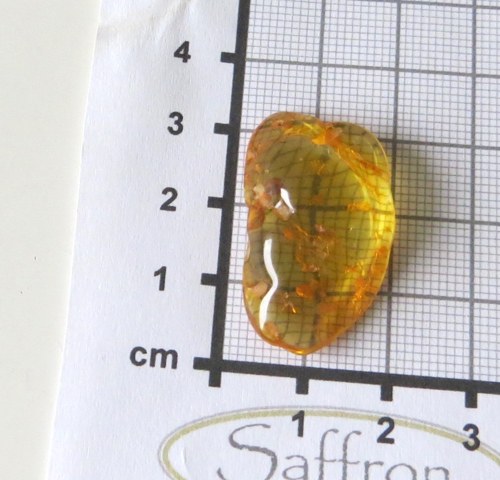 Přírodní Jantar - Litva č.09 — foto 2