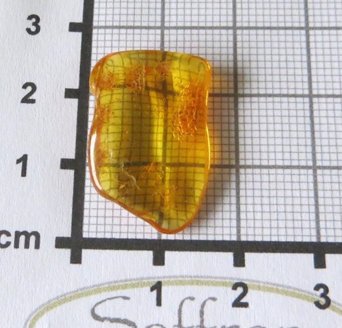 Přírodní Jantar - Litva č.014 — foto 2