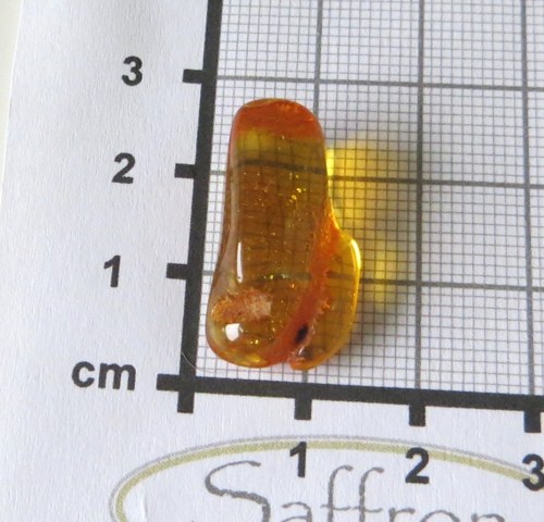 Přírodní Jantar - Litva č.015 — foto 2