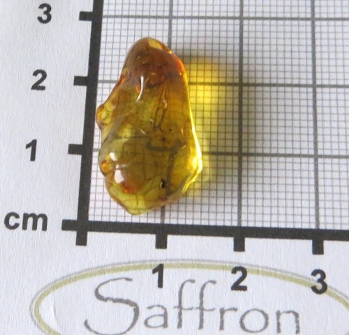 Přírodní Jantar - Litva č.016 — foto 2