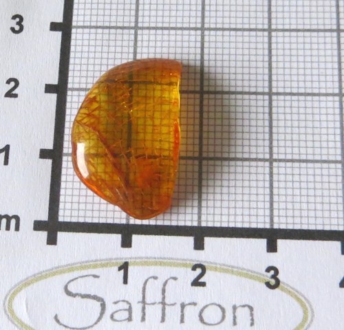 Přírodní Jantar - Litva č.017 — foto 2