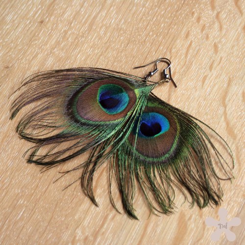 Peacock — foto 2