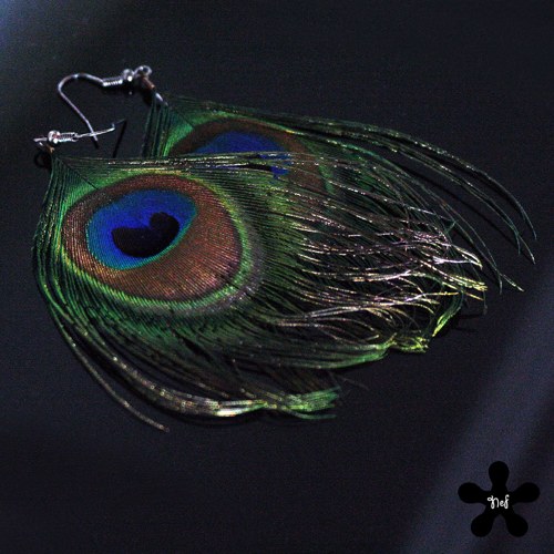 Peacock — foto 3