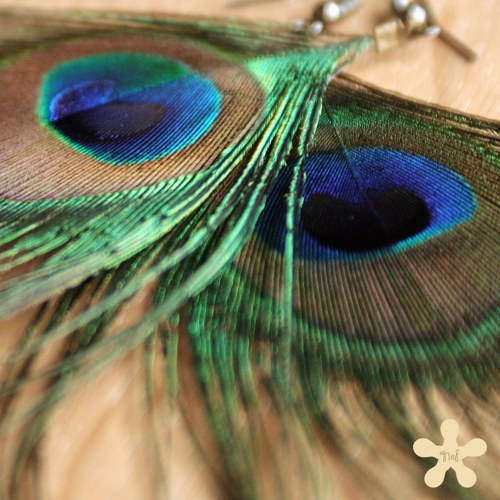 Peacock — foto 4