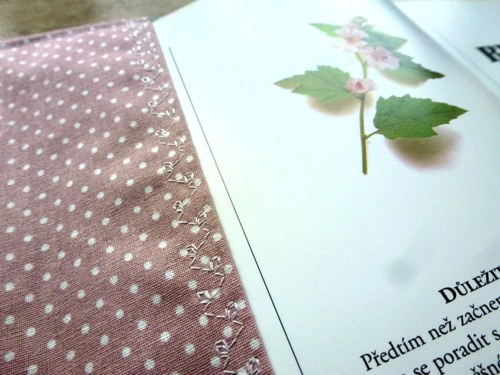 Obal na knihu Lynette V. — foto 4