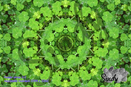 Mandala oroseného jetelíčku 020 — foto 2