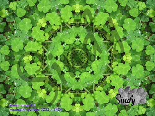 Mandala oroseného jetelíčku 020 — foto 3