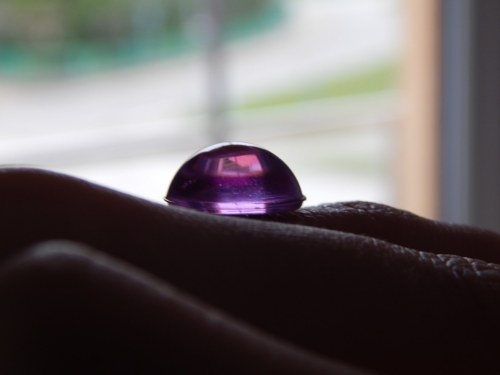 Růžový prstýnek — foto 3
