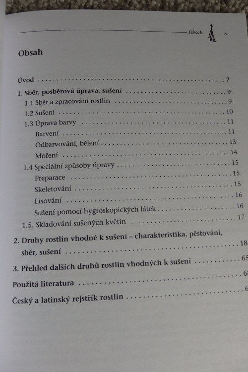 Pěstujeme rostliny k sušení — foto 2