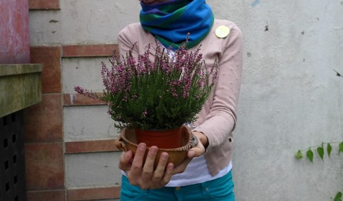 Free way. — foto 2