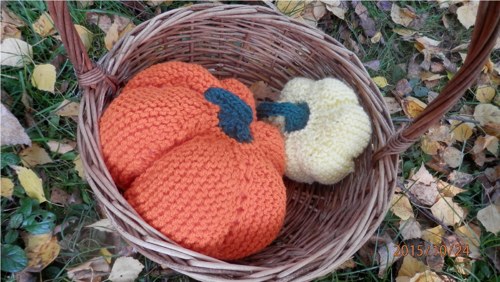 Halloween - pletené dýně — foto 2