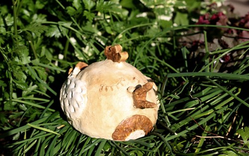 Ptáčínek — foto 2