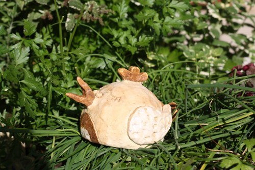 Ptáčínek — foto 3