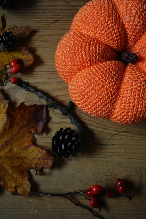 Pumpkins - háčkované dýně na přání — foto 6