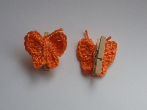 Motýlí mámení — foto 2