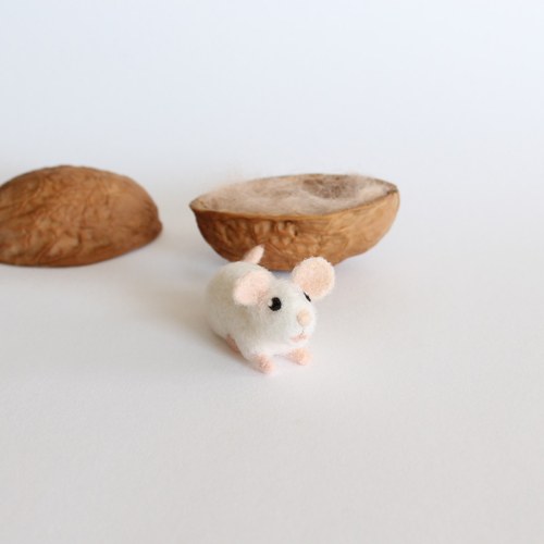 Mini myška ve skořápce — foto 2
