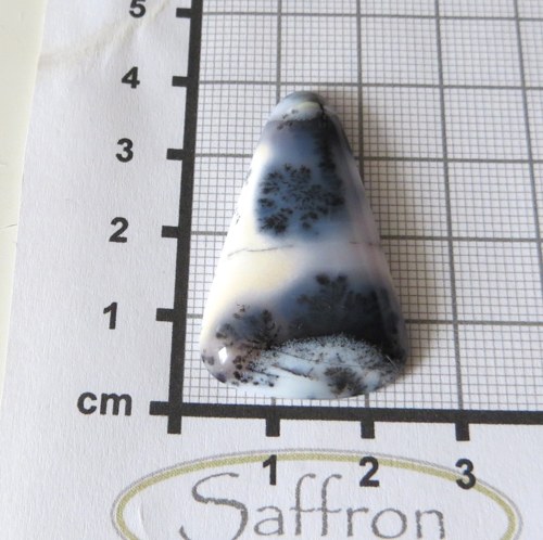 R Dendritický opál De luxe, větší kabošon č.T6 — foto 2