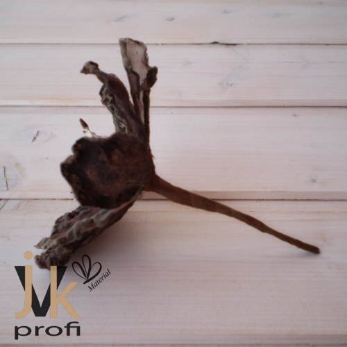 Magnolie květ - hnědý — foto 3