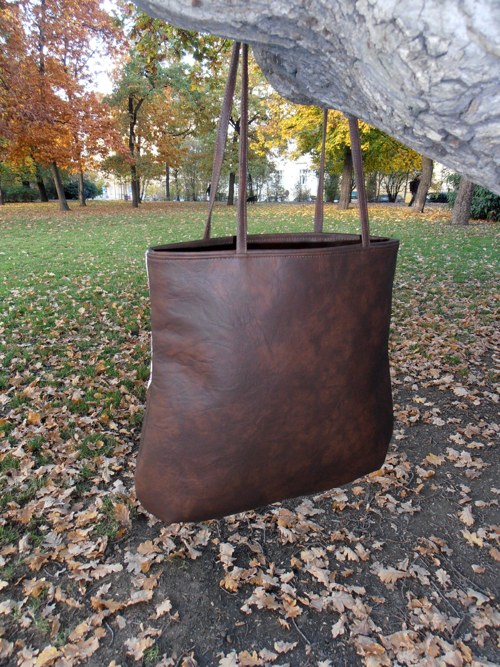 Eileen motýlková — foto 3