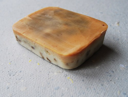 Velké mýdlo strakaté — foto 2