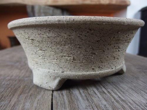 Bonsai miska — foto 2