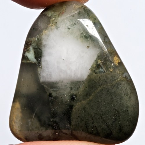 Heliotrop — foto 2